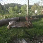 База отдыха Hagen *