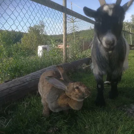 Parco vacanze Hagen Vennesla