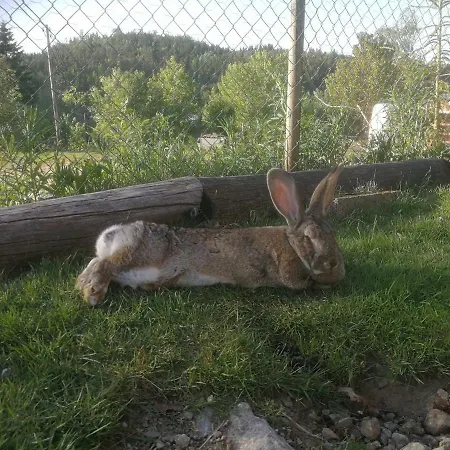 Village de vacances Hagen *