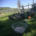 Kompleks wypoczynkowy Hagen *