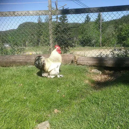 Hagen *